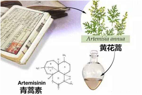 乐鱼体育,（中国）网站首页：向中医药看齐，与世界共享中医药文化(图1)